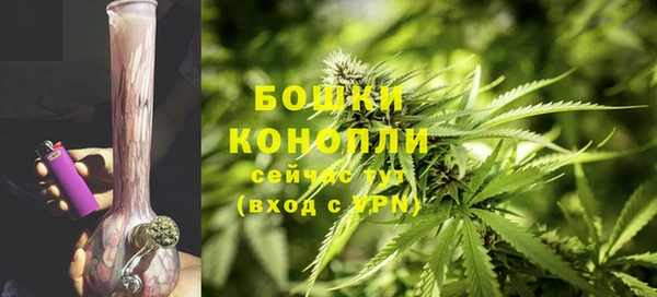 кокс Белокуриха