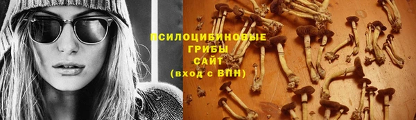 МДМА Богородицк