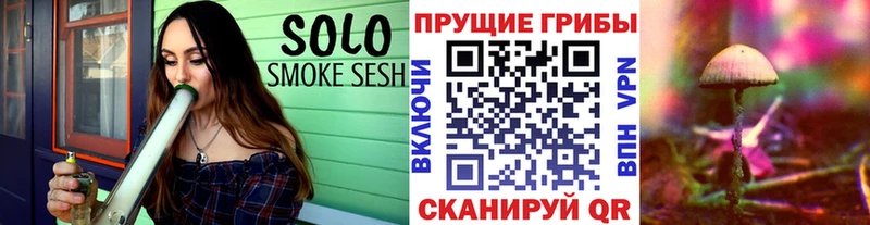Галлюциногенные грибы Psilocybine cubensis  цены   Кстово 