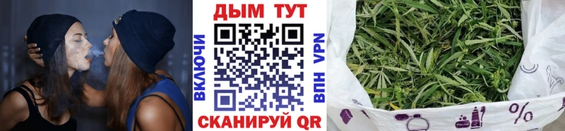 Конопля гибрид Кстово